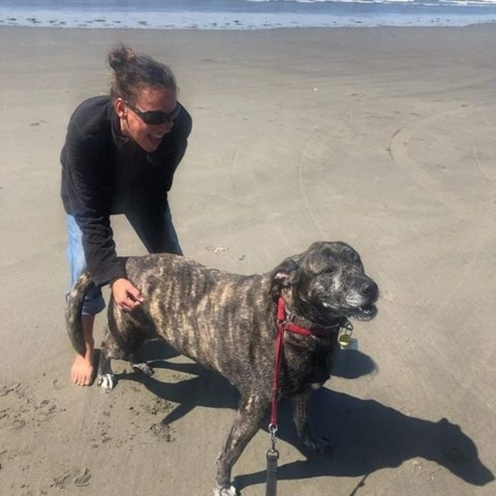 Meet your Posher, Jenn